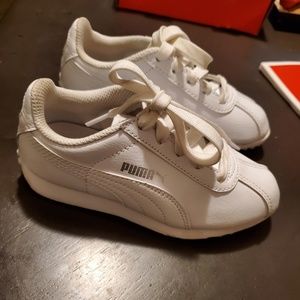 White and silver pumas